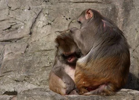 What is this? Stock Photos