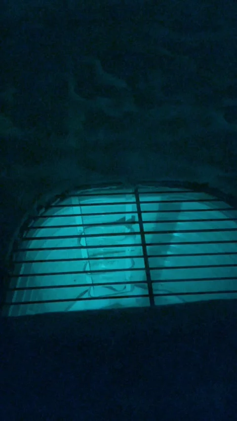 What is in there? Stock Footage 279522642