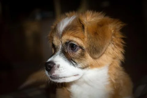 What a view Stock-Fotos