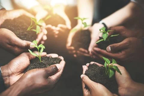 What you nurture you grow. a group of people holding plants growing out of soil. Stock Photos