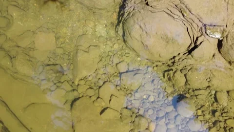 Whatcom Falls 1 動画素材 304182320