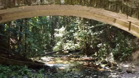 Whatcom Falls 5 動画素材 304182339