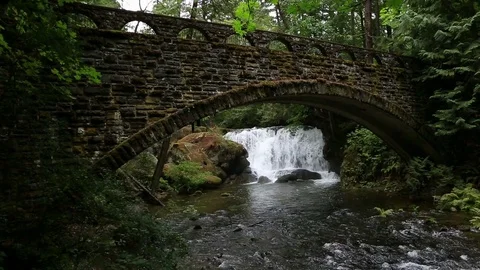 Whatcom Falls and a old stone bridge with moss and ferns in Bellingham WA 1080p Stock Footage 80544125