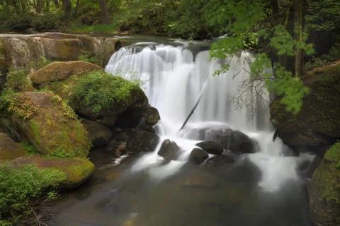 Whatcom Falls, Bellingham Fotos Stock