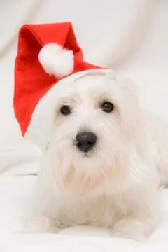 What's up. Stock Photos