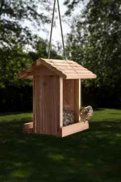 What's this Stock-Fotos