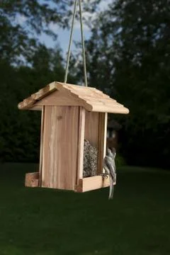 What's that Stock-Fotos