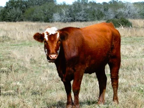 Whats your problem Stock Photos