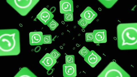 Whatsapp data gathering data from users Stock Footage 146431088