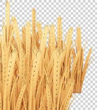 Wheat 3D Model Stock Photos