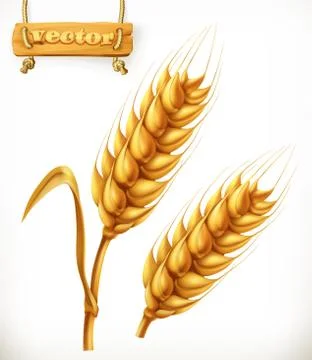 Wheat. 3d vector icon Stock Illustration