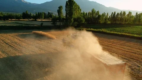 Wheat Agriculture Stock Footage 340778979