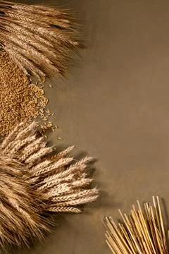 Wheat and barley Stock Photos