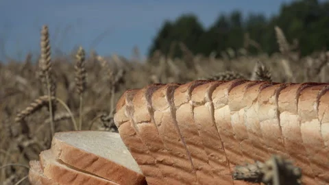 Wheat and Bread on a sunny day Stock Footage 239774150