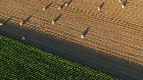 Wheat and corn fields in Normandy, aerial drone view at sunset Stock Footage 207971291
