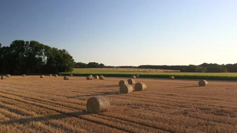 Wheat and corn fields in Normandy, aerial drone view at sunset Stock Footage 207971301