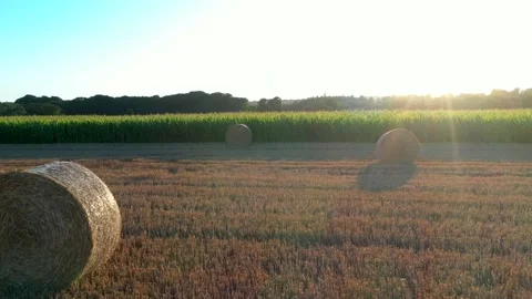 Wheat and corn fields in Normandy, aerial drone view at sunset Video stock 207971472