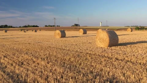 Wheat and corn fields in Normandy, aerial drone view at sunset Stock Footage 207971498