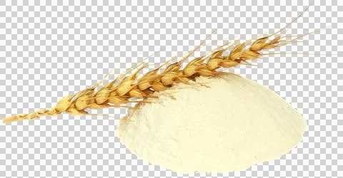 Wheat and flour Stock Photos