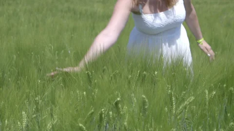 Wheat and hand 2 Stock Footage 39076492