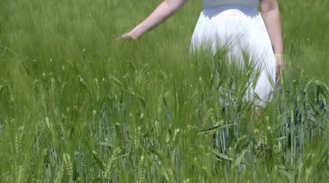 Wheat and hand Stock Footage 39076188