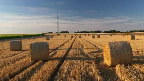 Wheat and haystacks fields in Normandy, aerial drone view at sunset Stock Footage 207971408