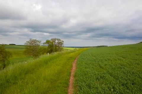 Wheat and meadows Stock Photos