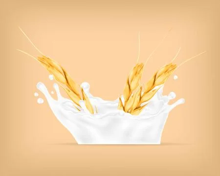 Wheat and milk splash. Stock Illustration