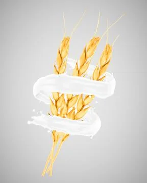 Wheat and milk splash Illustrazione stock