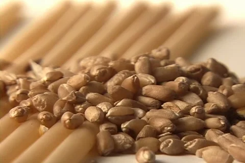 Wheat and past Stock-Footage 1504875