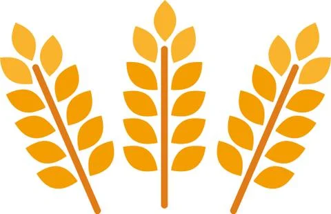 Wheat and rye ears. Barley rice grains and elements for beer logo or organic Stock Illustration