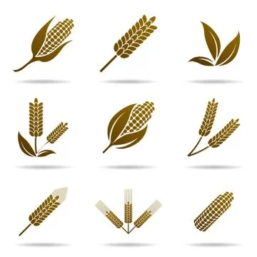 Wheat and rye. Elements for design. Icon set. Stock Illustration