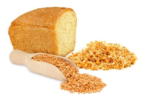 Wheat and wheat germ Stock Photos
