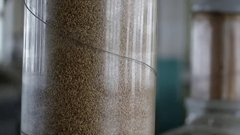 Wheat are lowered for grinding by large transparent tubes Video stock 75442842