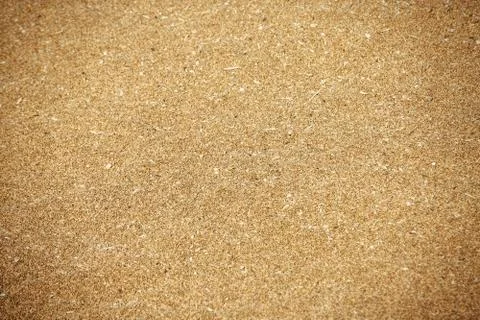 Wheat background design texture Stock Photos
