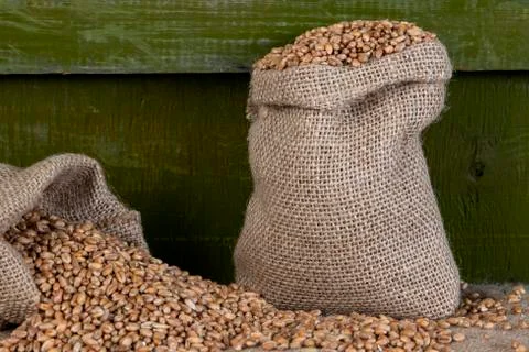 Wheat in bags. Stock Photos