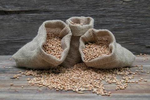 Wheat in bags. Stock Photos
