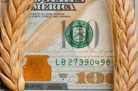 Wheat on bank note Stock Photos