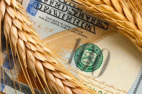 Wheat on bank note Stock Photos