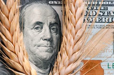 Wheat on bank note Stock Photos