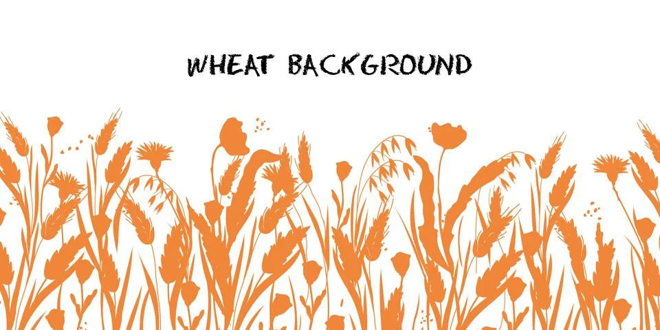 Wheat, Barley or Rye background. Cereal plants for bread, bakery and beer. Stock Illustration