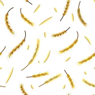 Wheat, barley or rye seamless background pattern, for your design. Vector Stock Illustration