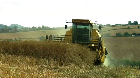 Wheat being Harvested Stock Footage 795273
