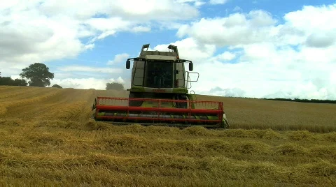  Wheat being Harvested Stock Footage 796073
