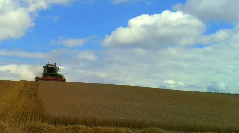 Wheat being Harvested Stock Footage 796110