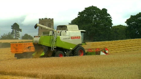 Wheat being Harvested Stock Footage 796180