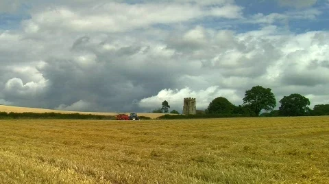 Wheat being Harvested Stock Footage 811150