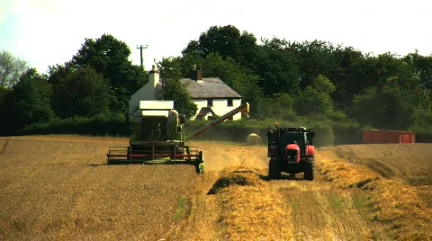 Wheat being Harvested Stock Footage 811530