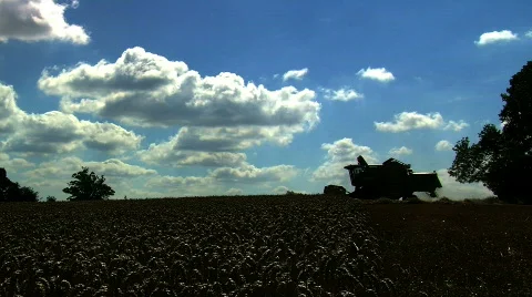 Wheat being Harvested Stock Footage 823668