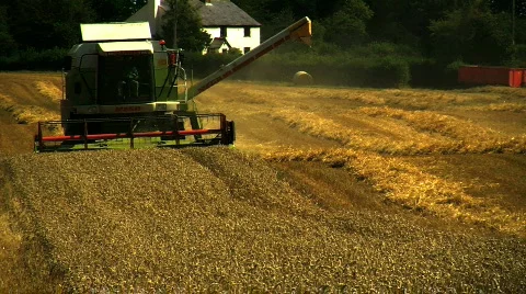 Wheat being Harvested  Stock Footage 824888